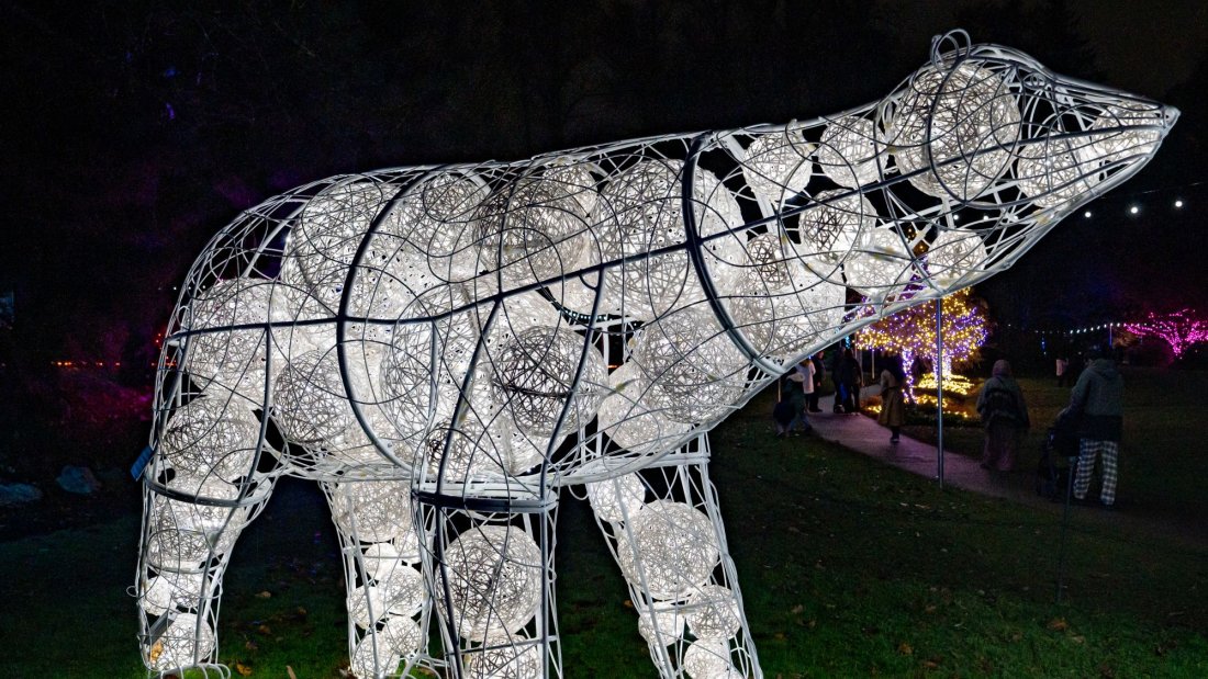 Bear Creek Lights 대표 이미지