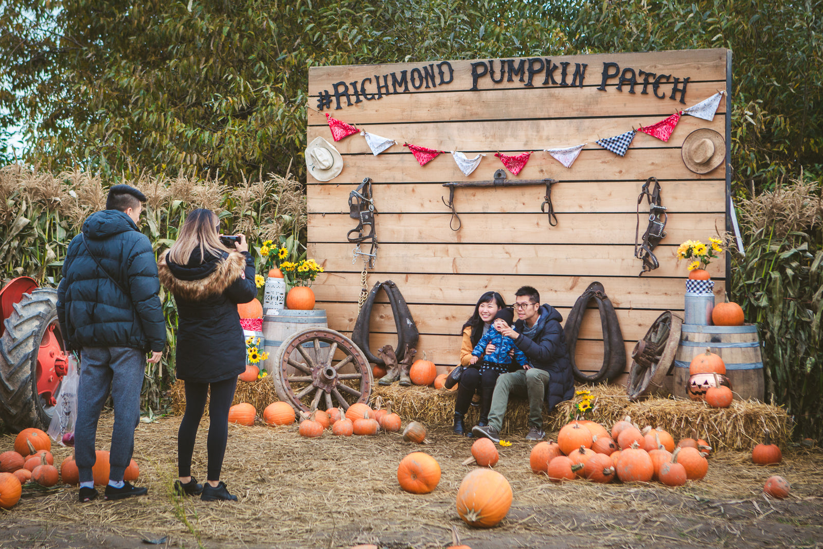 Richmond Country Farms Pumpkin Patch 대표 이미지